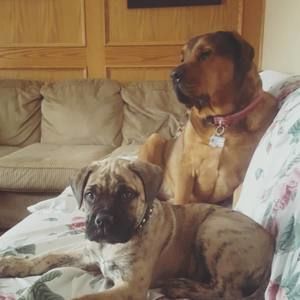 Meet your Posher, Madison